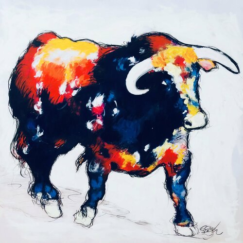 Colourful Bull Shabs Beigh