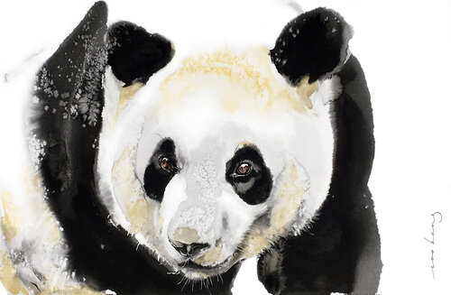 Panda Enchantment Soo Beng Lim