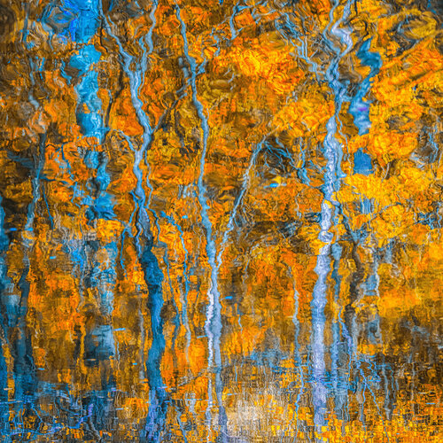 autumn forest reflection #4 Igor Vitomirov