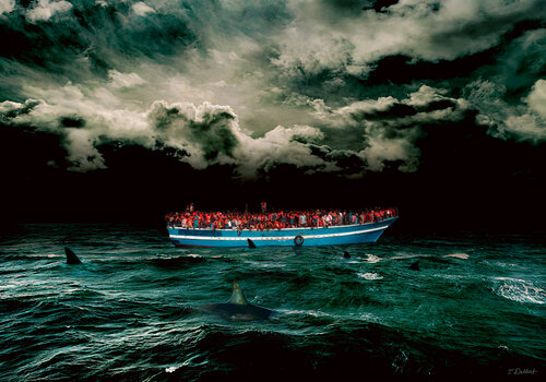 Noah's Ark  and the Sharks Thomas Dellert