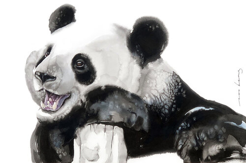 Happy Panda Soo Beng Lim