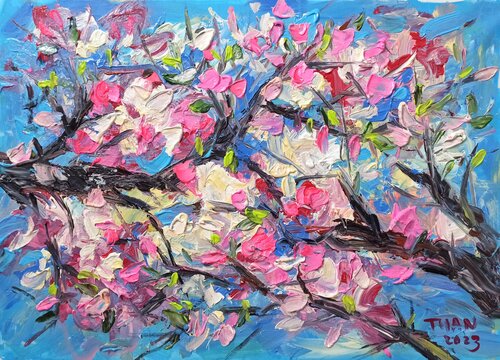 The cherry blossoms have bloomed signaling a new spring. Le Anh Tuan Le Anh