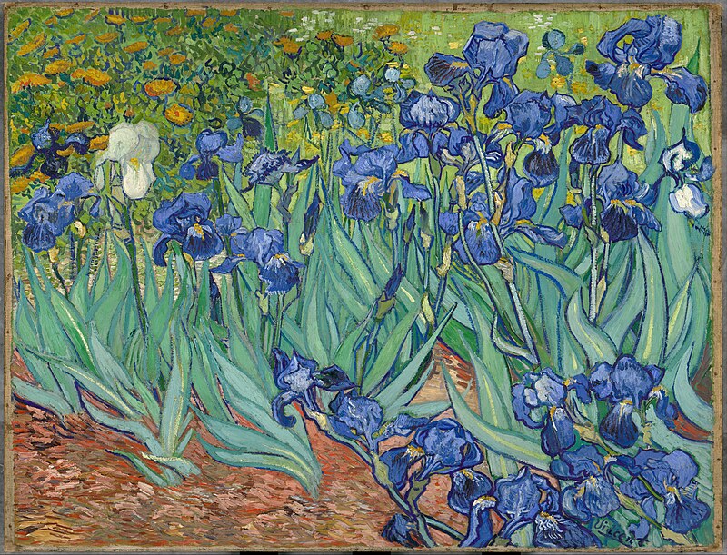 Irises (1889) - Van Gogh