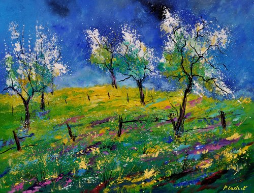 orchard in  spring -  793170 Pol Ledent